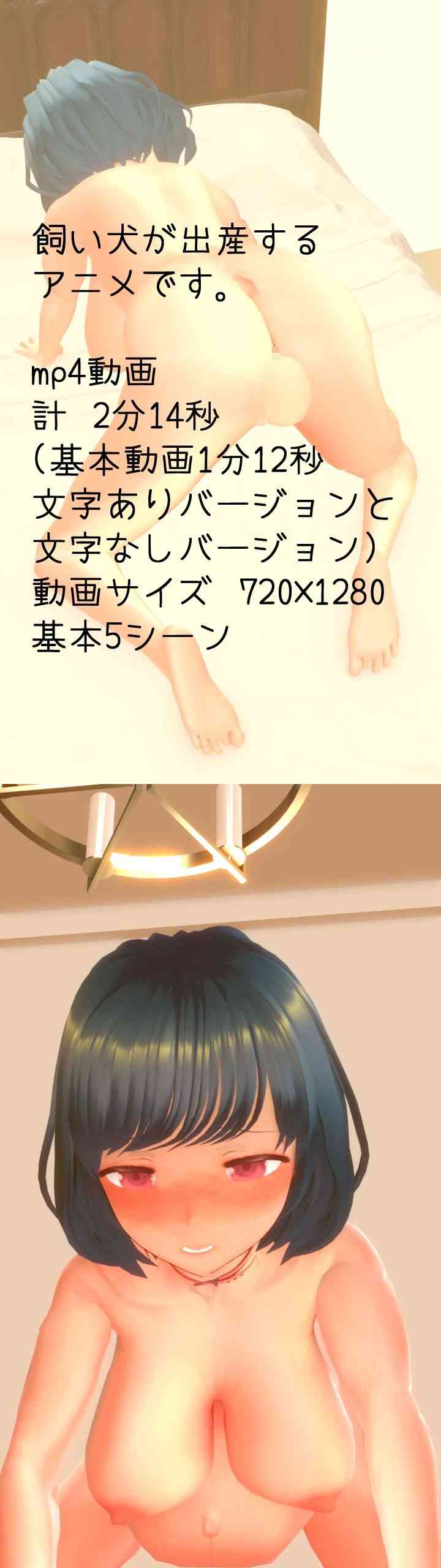 僕の犬が出産します。（岡本女平）-動画画像