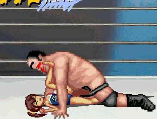 変態レスラーとスク水少女のエッチなバトル（WOLF）商品パッケージ画像