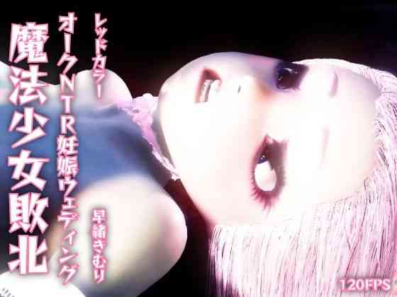 魔法少女敗北。オークNTR妊娠ウェディング。つるぺたボディ。触手洗脳調教。娼婦。妊娠。快楽堕ち。（レッドカラー）商品パッケージ画像